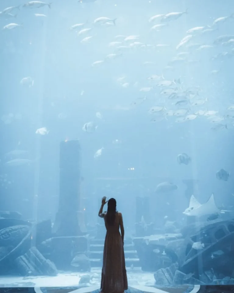 Dubai underwater aquarium