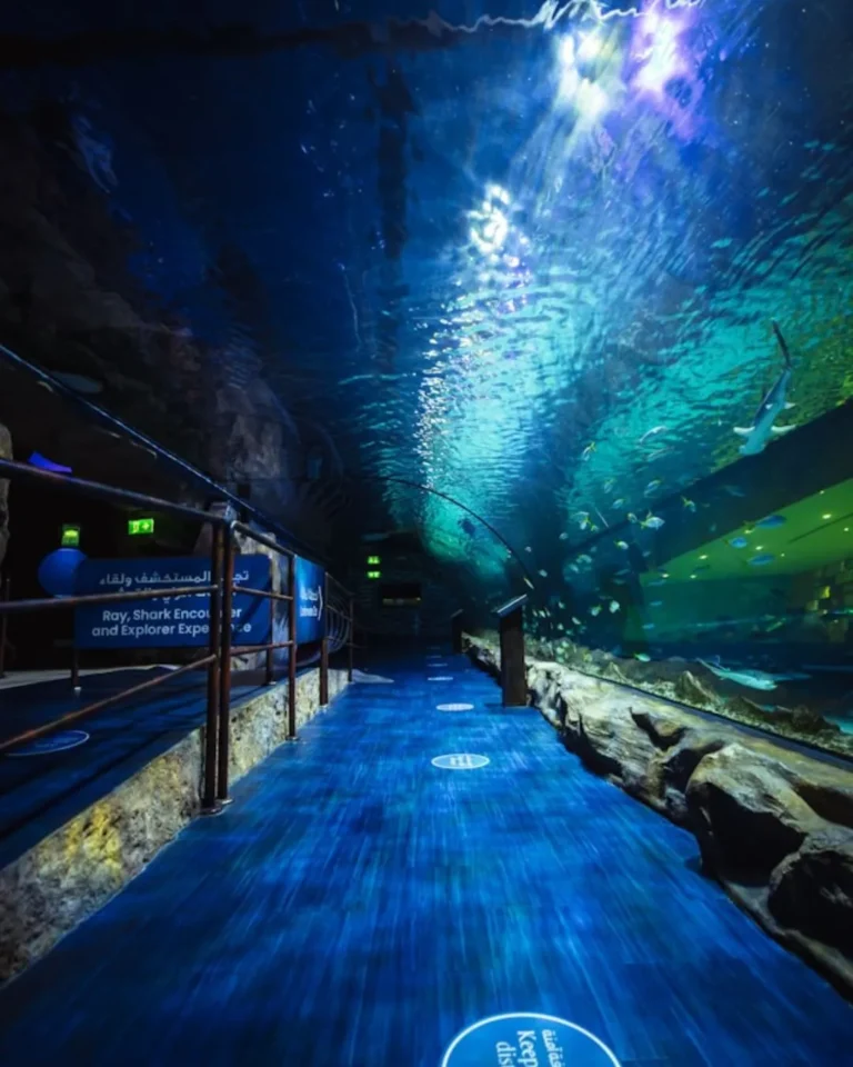 places to visit dubai with family