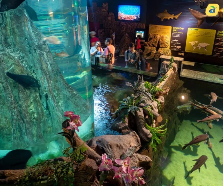Malaysia Holiday Package