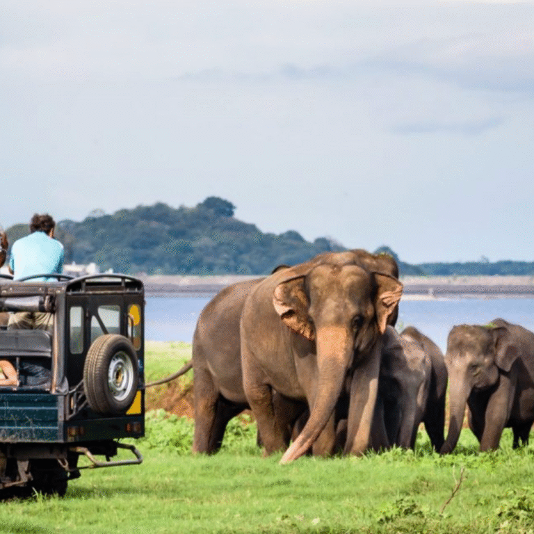 Screenshot 2025-11-15 at 10.51.45 AM